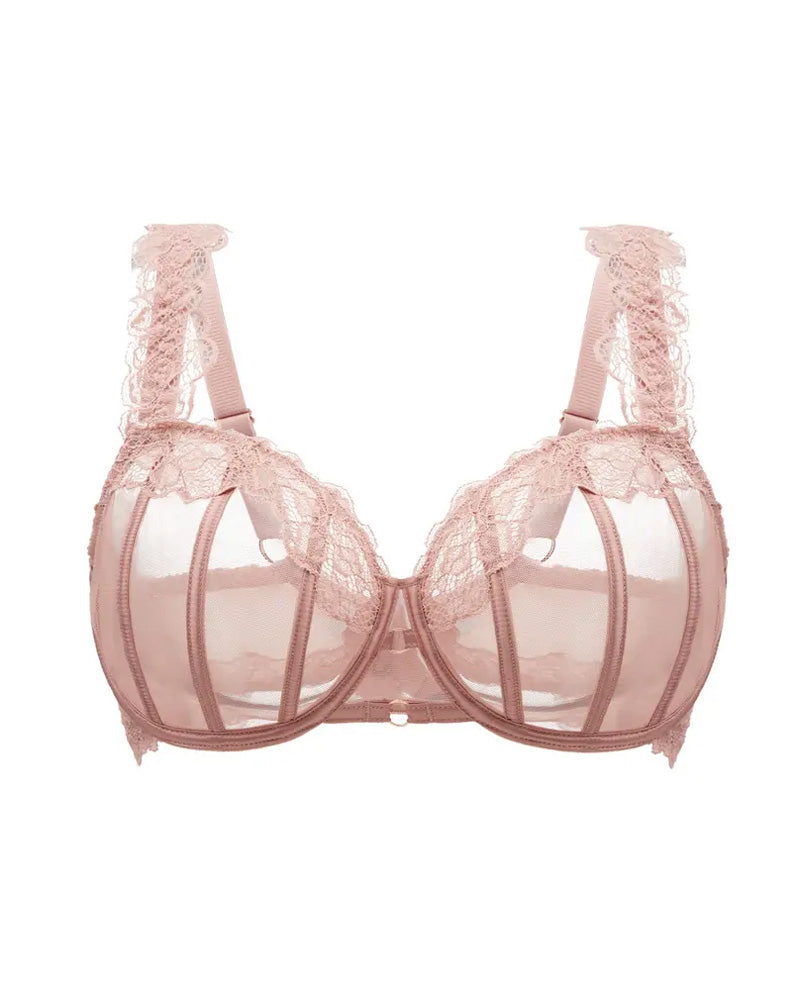 Brassiere Sexy de Encaje Transparente con Realce